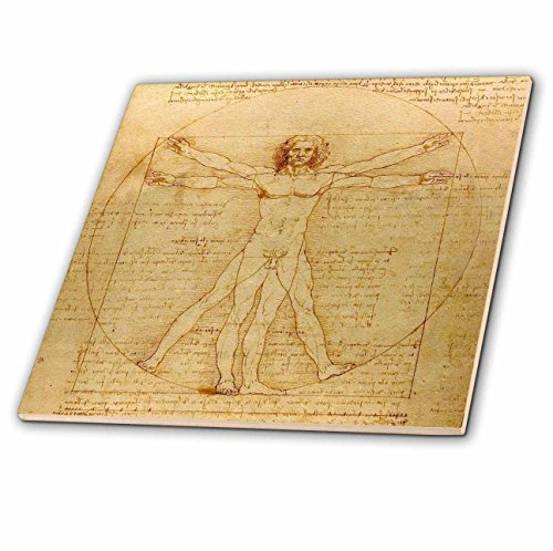 3D Rose 3dRose Vitruvian Man by Leonardo da Vinci 1490-fine Anatomical Art-Human Anatomy Pen and Ink Drawing-Ceramic Tile, 12-inch (ct_155633_4)