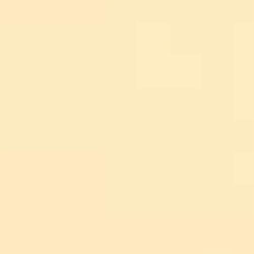 Orange Color Correction Lighting Gel Filter Sheet 40x50cm/16x20in, 1/8 CTO, Photography Transparent Light Gels for 800W Red Head Light Strobe Spotlight Flash Photo Studio Video, 4 Packs