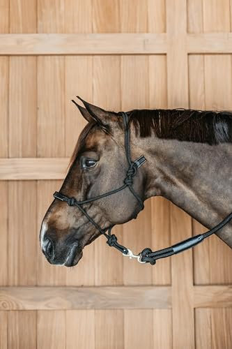 Kentucky - Dyon Trainingshalfter Schwarz Full WBD