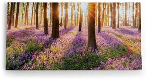 Paul Sinus Wandbild 120x60cm Wald Wildblumen Blumen Waldpfad Sonnenschein Bäume