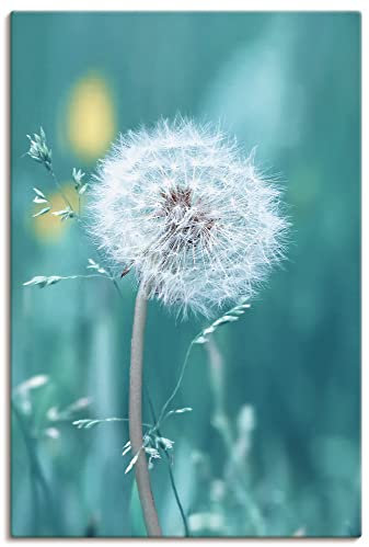 ARTLAND Wanddeko Leinwand Bilder Wandbild 40 x 60 cm Botanik Mikro Makro Pflanzen Blumen Pusteblume Frühling Sommer T2RV