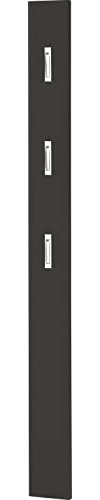 Germania Garderobenpaneel 3348-547, mit DREI ausklappbaren Kleiderhaken aus Metall, in Anthrazit, 15 x 170 x 3 cm (BxHxT)