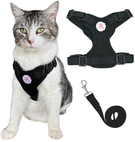Katzengeschirr (Schwarz, XS)