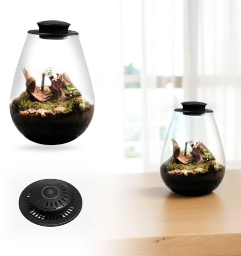 Fiorky Lampe de culture LED, fougère mousse micro-paysage avec minuterie, lampe de croissance de plantes, 6 500 K, terrarium en verre, lampe de culture pour plantes d'intérieur, plantes