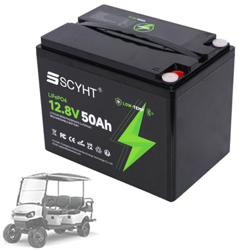 SSCYHT Batería Litio 12V 50Ah Batería LiFePO4 50Ah Baterías de Iones de Litio 12V Baterías Repuesto para energía Solar para Kit Motor 250W a 650W con BMS y asa.,12v50ah 1pack