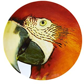 Olhar O Brasil 12.88 Macaw Charger Plate