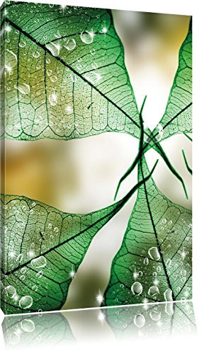 Pixxprint Grüne Blätter, Größe: 60x40cm, Leinwandbild, fertig gespannt, Wandbild, Dekoration, Kunstdruck, kein Poster