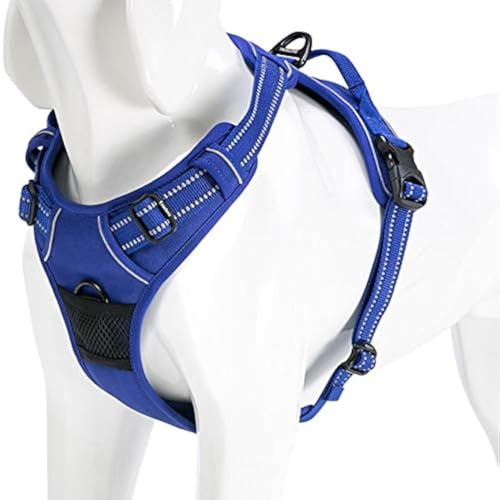 WINHYEPET Truelove Hundegeschirr No-Pull Reflektierendes verstellbar Haustiergeschirr mit 2 Leinenclips, einfachem Steuergriff für kleine, zum mittelgroße und große Hunde, TLH5651 | Truelove Hundegeschirr mit 2 Leinenclips, verstellbar, weich gepolstert, mit Griff zur einfachen Kontrolle