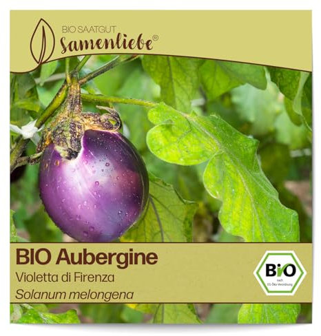 Samenliebe BIO Auberginen Samen alte Sorte Violetta di Firenza baby Aubergine runde Eierfrucht violett 10 Samen samenfestes Gemüse Saatgut für Gewächshaus Freiland und Balkon BIO Gemüsesamen