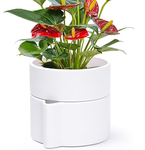 Phoenix Vine 6.5 Inch Self-Watering Planter Pot with Terracotta Insert, Deep Water Reservoir, and Ceramic-Alike BPA-Free Plastic Pot for Plant, Modern Planter for Houseplants, White, 53-A-S-1