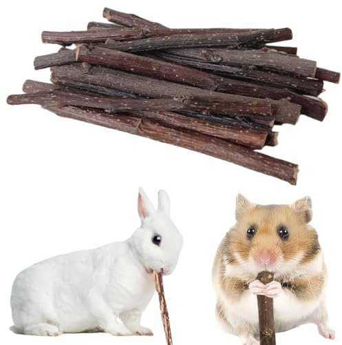 EJRUP 150g Bastoncini di Legno di Mela Naturale per Conigli, Criceti, Cincillà e Porcellini d'India - Ramo di Mela per Digrignare i Denti e Intrattenimento