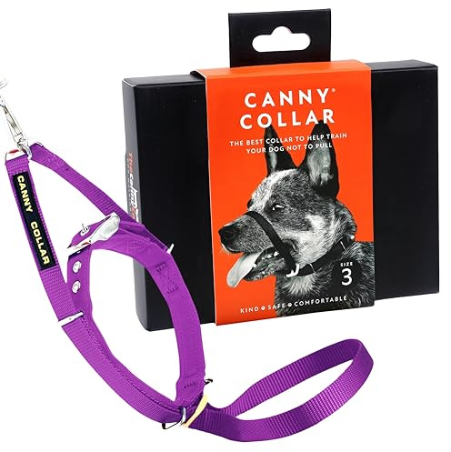 Canny Collar halsband för hundar, enkel och effektiv hjälp vid hundregn och förhindrar att hundar dras – lila
