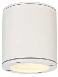 SLV luminaria de superficie de techo SITRA/iluminación para paredes, caminos, entradas, foco led de exterior, luminaria de superficie de exterior, lámpara de jardín / GX53 IP44 9 W blanco