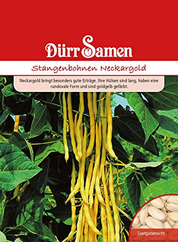 Dürr-Samen - Stangenbohnen Neckargold Saatgut
