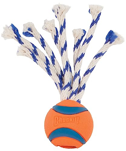 Chuckit! CH233201 Ultra Toss Medium