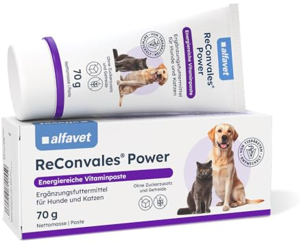 Alfavet ReConvales Power Paste - Ergänzungsfutter für Hund & Katze, 70 g