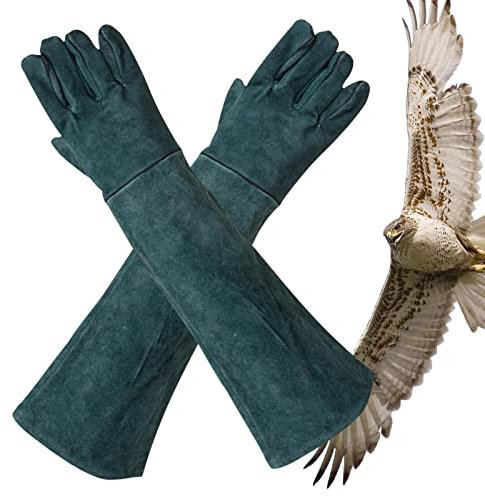PW TOOLS Beißhandschuhe für Hunde | Mehrzweck-Haustierpflegehandschuhe aus Leder,Haushaltswaren für Kamin, Herd, Ofen, Grill, Schweißen, Grillen, Mig, Topflappen, Umgang mit Tieren