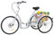 Linanty Dreirad für Erwachsene 26 Zoll 6-Gang, Dreiradfahrrad mit großem Korb, Verstellbarer Sitz Cruiser Trike Rennrad für Männer, Frauen, ältere Menschen, Weiß