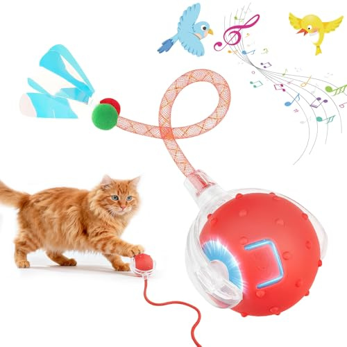 PAYFULLY Neue Interaktives Katzenspielzeug Elektrisch mit Vogelstimmen & 3 Modi, Katzenball Elektrisch mit 2 Schwanzseilen für Katzen Hunde