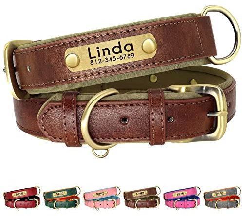 Beirui Personalisiertes, weich gepolstertes Leder-Hundehalsband –Robustes Hundehalsband mit langlebigen Metallbeschlägen für kleine, mittelgroße und große Hunde (braun, Halsumfang 35,6–45,7 cm)