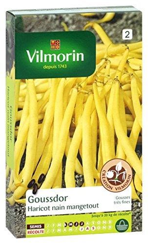 Vilmorin 1172353 Pack de Graines Haricot Goussdor Création