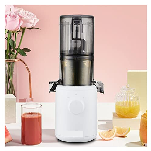 Estrattore di Succo di Frutta e Verdura a Coclea Lenta in Acciaio Inossidabile 40 Giri/min. Macchina compatta per spremitura a Freddo (Colore : Wit, Dimensioni : USA)