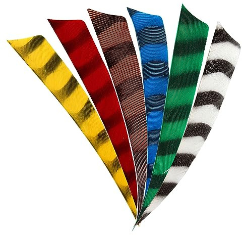 BEARPAW PRODUCTS Federn | RW Shield 3 Zoll Barred | Naturfedern | Pfeilfedern | Bogenschießen | Pfeile | Pfeilbau | Bogensport | 50 Federn | rot/schwarz