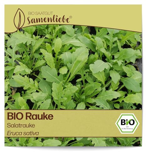 Samenliebe BIO Rauke Samen alte Sorte Salatrauke mild nussige Rucola Salatkraut grün 500 Samen samenfestes Kräuter Saatgut für Küche indoor und Balkon Garten BIO Kräutersamen