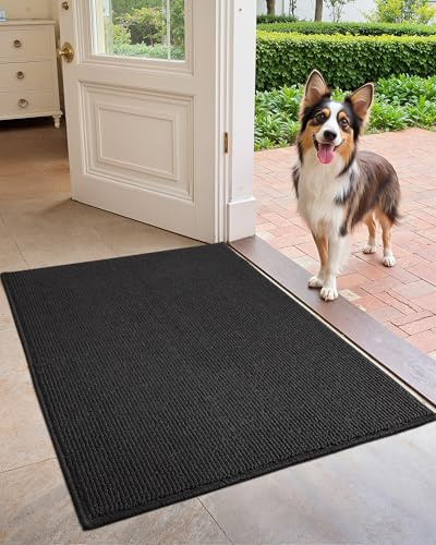 COLOR&GEOMETRY Door Matts Indoor 43.5 x 75 cm, Dirt Trapper Entry Mat Non Slip Washable, Small Doormats Inside Black Indoor Mats for Front Door Back Door Dog Mats for Muddy Paw
