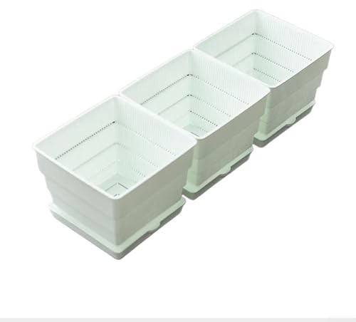 DAZZLEEX Lot de pots de fleurs en plastique pour rebord de fenêtre avec plateau de drainage pour plantes d'intérieur et légumes, maison, jardin, cuisine, balcon (15 cm)