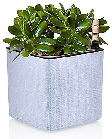 WLICWEI Selbstbewässerndes Pflanzgefäß aus Kunststoff, kleine quadratische Blumentöpfe mit Wasserstandsanzeige, moderner dekorativer Blumentopf für Sukkulenten Veilchen Kräuter-Blau 13x13x13cm (5x5x