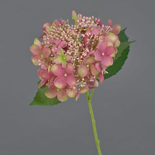 artplants.de Ortensia artificiale CALESA, rosa antico, 50 cm - Ortensia artificiale