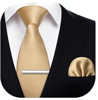 HISDERN Herren Krawatte Klassische Einfarbig Krawatte und Einstecktuch Krawattenklammer Set Krawatten für Feierliche Hochzeit Party