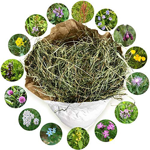 Heu 1. Schnitt - Naturheu Qualitäts-Kleintier-Futter - für Kaninchen Hasen Hamster Nager & Kleintiere - lose im Öko Papiersack aus der größten Heumilch-Region Europas in Österreich (~1 kg) (1 kg)