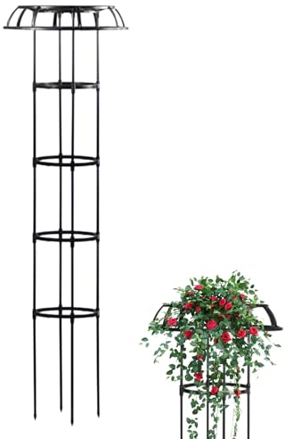 Cadre d'escalade de Fleurs – Arche de Roses en ferronnerie, Cadre d'escalade pour clématites | Treillis d'extérieur Haute pour grimpantes, Tour de Jardin Debout pour grimpantes