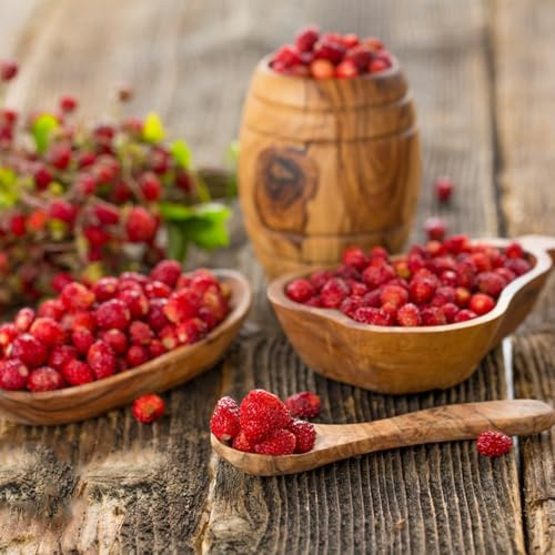 Semillas de fresa mensuale, Fragaria vesca, fresas silvestres, de balcón semillas de jardín exóticas de fresa 200pcs