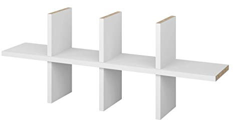 Billy Regal CD Einsatz | CD Fach | Regalkreuz, Fachteiler in Weiß | Bis zu 120 CDs pro Regalbrett | CD Storage | Billy CD Regal