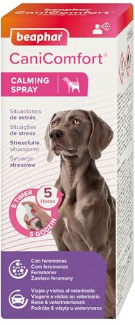 Beaphar CaniComfort Anti-Stressspray für Hunde, 60 ml, Anti-Stressspray mit Pheromonen für Hunde, reduziert Stress und Angst, Angst, Reisen, Tierarztbesuche, Beißen, Bellen und Papageien