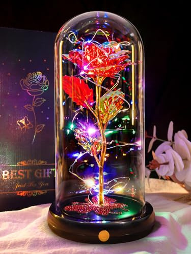 DEEMEI Valentines Day Birthday Gift for Her Women Red Rose Eternal Flower USB Light Up Rose in Glass Dome Anniversary Flowers for Delivery Prime Valentine's Flowers Gifts for Her Mom Girlfriend Wife