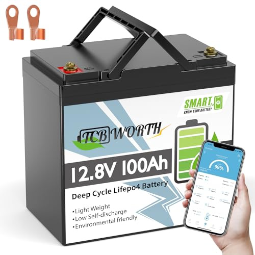 TCBWORTH LiFePO4 100Ah Bluetooth 12.8V Batterie Mini, lithium batterie 100A BMS, 4000-15000 Zyklen Deep Cycle akku, Perfekter Ersatz für Blei-Säure Batterien für wohnmobil, Camping, Solar, Boot