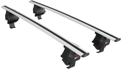 Kompatibel mit FIAT 500 L 2012-2017 ACE-4 Relingträger Dachträger Auto Gepäckträger Grau Aluminium 2 Stangen
