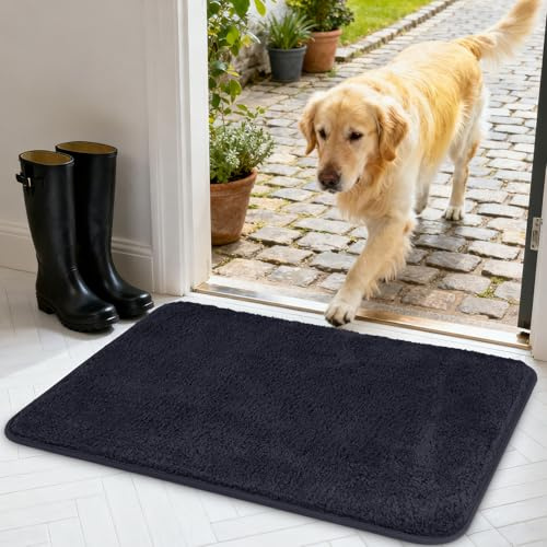 AUAUY Zerbino Trappola Sporco, 60 x 90cm Zerbino Asciugapassi per Interno | Tappeto Assorbi Acqua, Antiscivolo, Lavabile, per Cane, Ingresso, Porta e Corridoio, Casa e Ufficio, Grigio Scuro