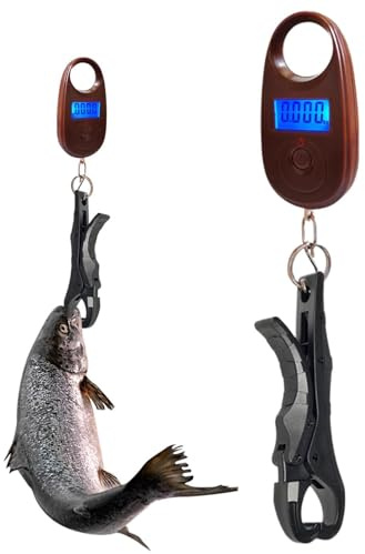 Digital Fiskevåg - 24 Cm Multifunktionsvåg, Handvåg I Precisionsstål, Ergonomiskt Handtag, LCD-skärm | Elektronisk Fiskvåg För Redskapslådfiske