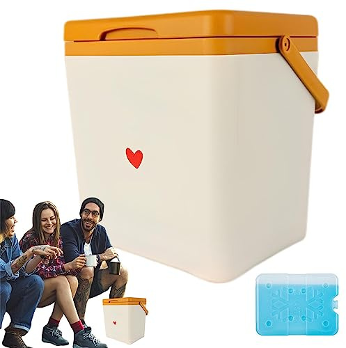 WEITING Portable Refrigerator - Insulated RV Fridge and Freezer,7L Small Refrigerator, Travel Refrigerator Fridge Freezer Skincare Desk Little Tiny Fridge, Portable Car Freezer for Home Use