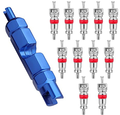SAVITA 11 Pezzi Kit Nucleo Valvola, Nuclei Valvola in Acciaio Inox per Pneumatici Strumento di Nuclei Valvola per Auto Camion Moto e Biciclette (Blu)