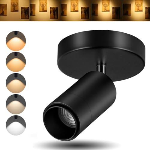 Ajbvp 5CCT LED Ceiling Spotlight 12W Dimmable Ceiling Light Directional Lighting,Zoomable15°/24°/36°/45°/60°,2700K/3000K/3500K/4000K/5000K,for Living Room Gallery Art Lighting(Black)