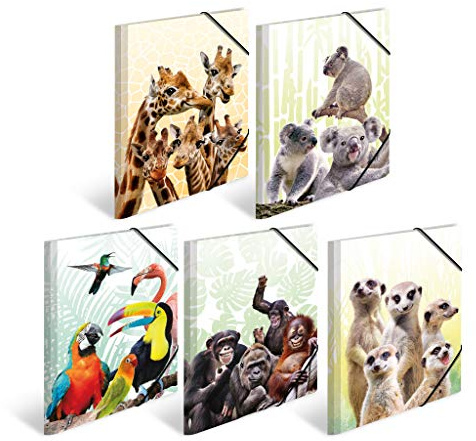 Herma 19965 Lot de 10 porte-documents DIN A3 animaux exotiques en plastique solide avec rabats intérieurs imprimés, élastique à serrer, 10 dossiers à dessin pour enfants