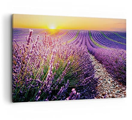ARTTOR Bilder auf Leinwand 120x80cm Wandbild Botanik Landschaften - 4703 | Feld Lavendel Sonne Groß XXL Wanddekoration Wohnzimmer Schlafzimmer Wanddeko Wand Kunstdruck Wandkunst Wall Decor ARTTOR