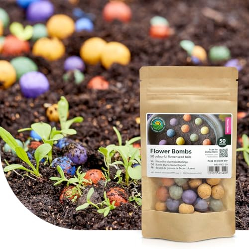 MRS Flower Bombs : 100x Bombes de graines ‘’Originals’’ - Graines 100% biologiques - Bombes de fleurs sauvages - Colorées et joyeuses - Fabriquées à la main avec amour - Un joli cadeau à offrir !