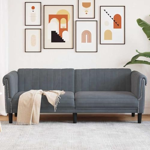 Emmtore Sofa 3-Sitzer Dunkelgrau Samt Sofa Couch with Armrests, Backrest, Support Legs, Lounge Sofa for Living Room, Upholstered Sofa, Sofa Set, Modern,Velvet